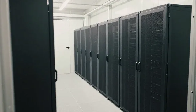 APP在不同网络环境下的性能表现与适用条件分析